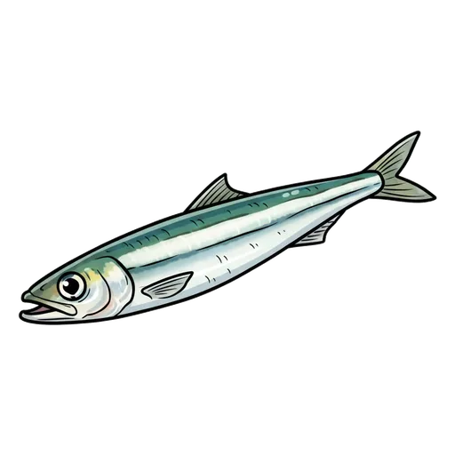 anchovy