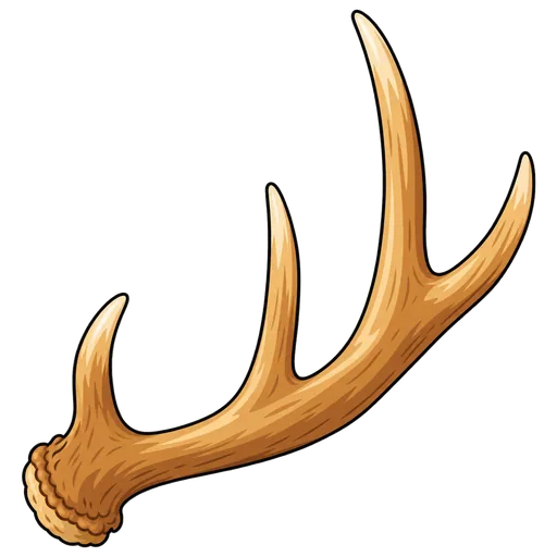 antler