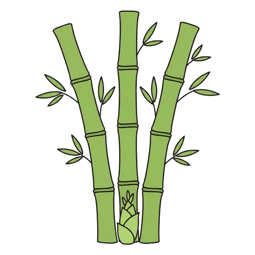 bamboo