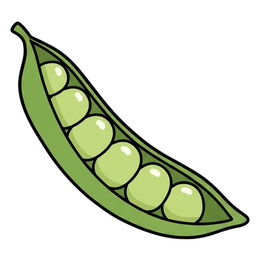 bean