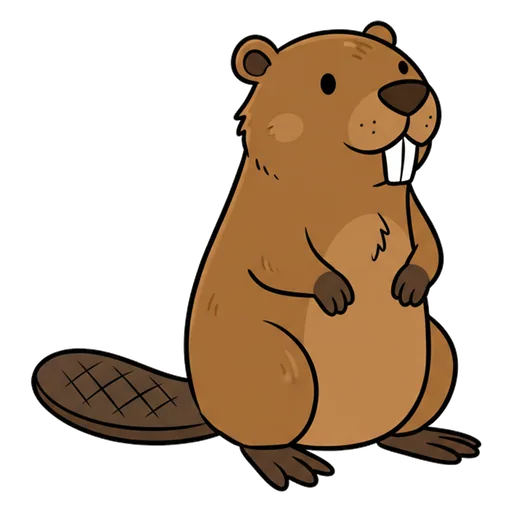 beaver