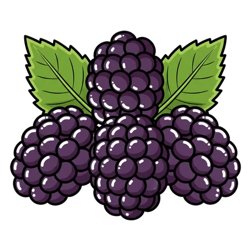 blackberry