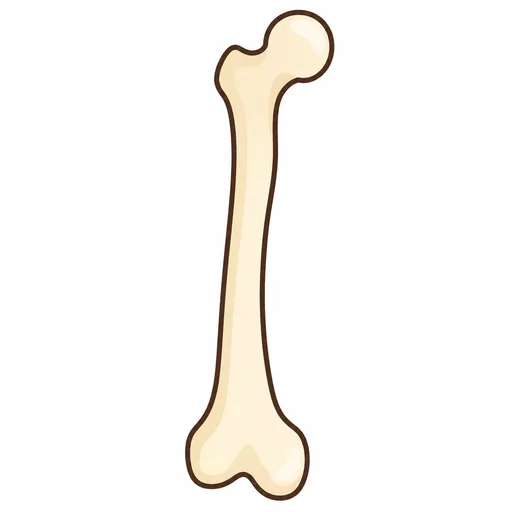 bone