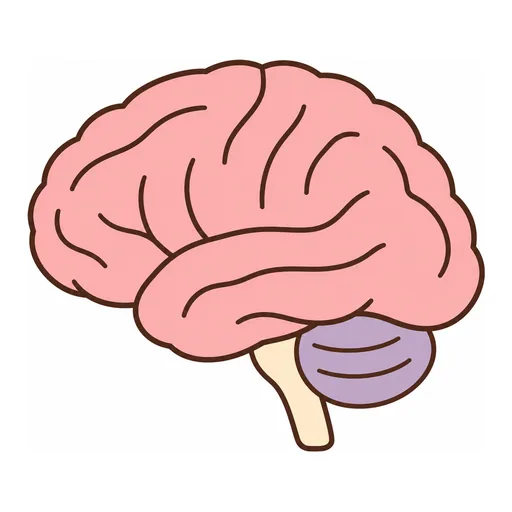 brain