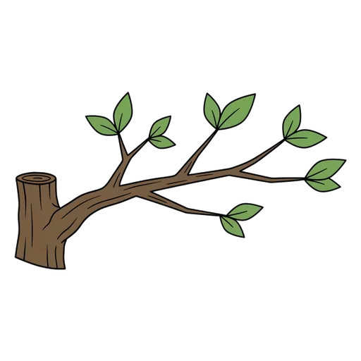 branch