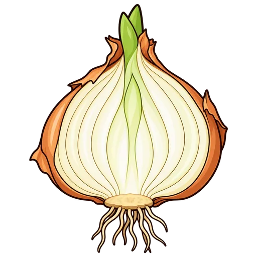 bulb