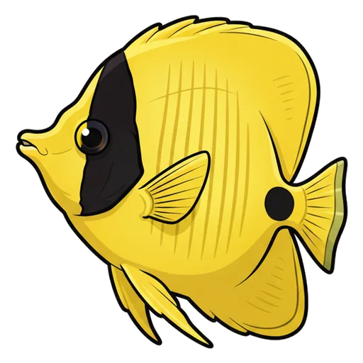 butterflyfish