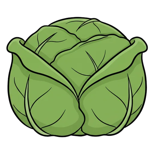 cabbage