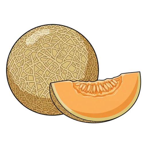 cantaloupe