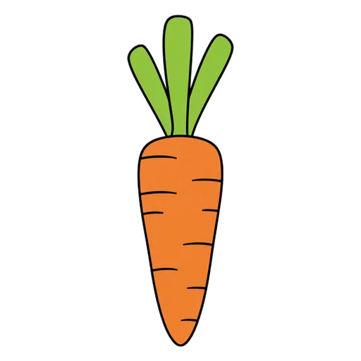 carrot