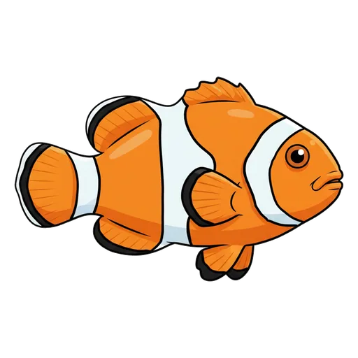 clownfish