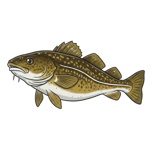 cod