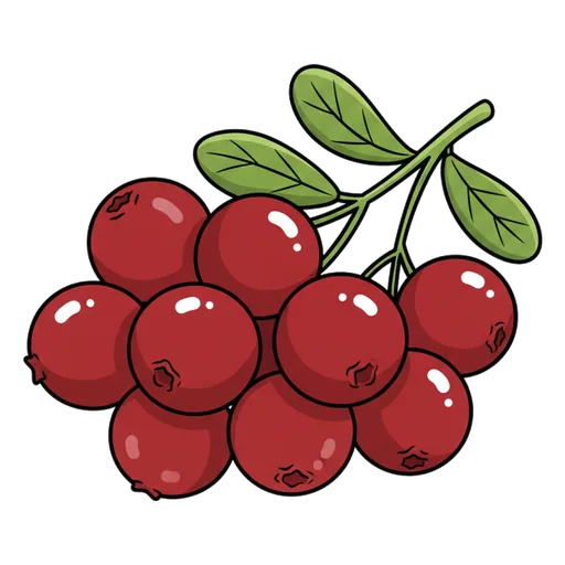 cranberry