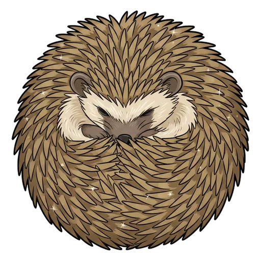 curl up