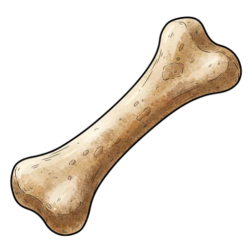 dinosaur bone