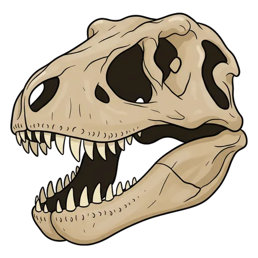 dinosaur skull