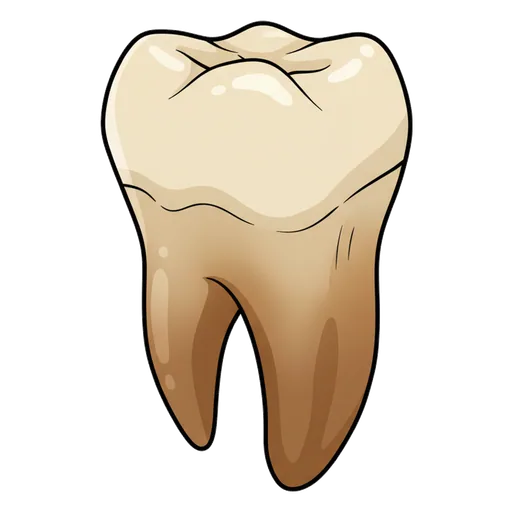 dinosaur tooth