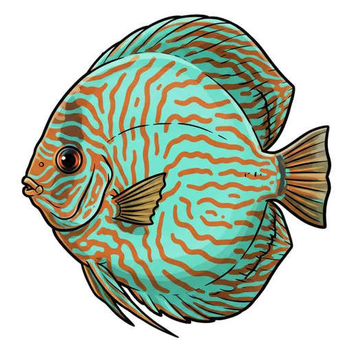 discus fish