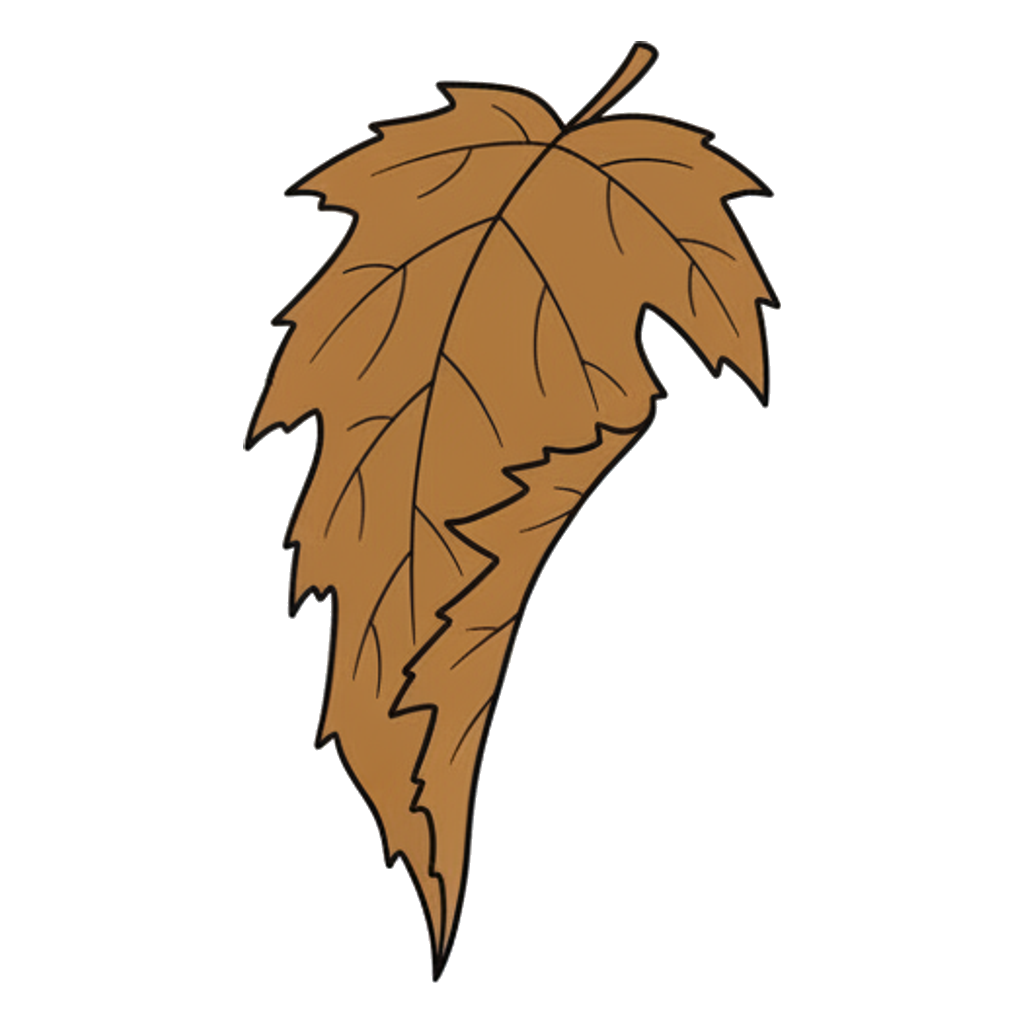 dry
