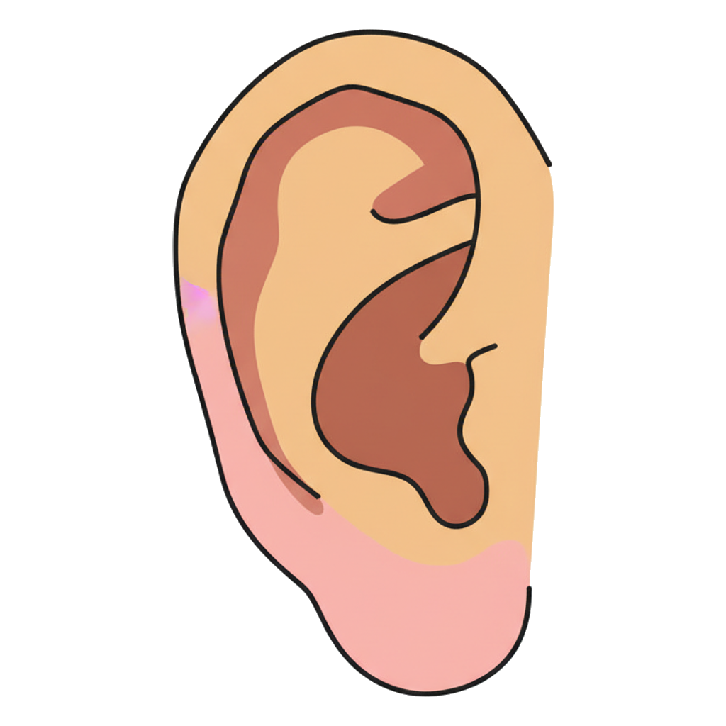 ear