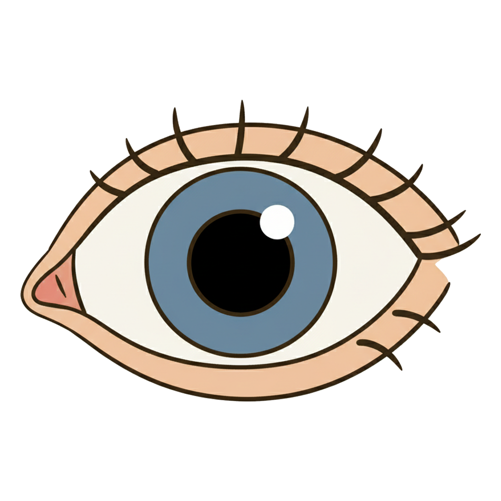 eye