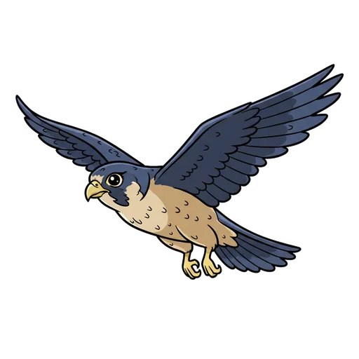 falcon