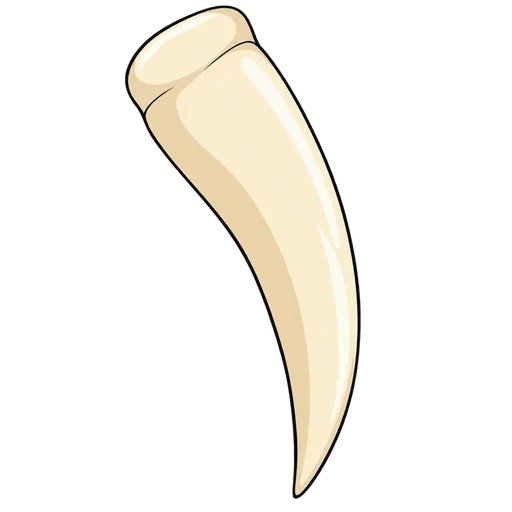 fang