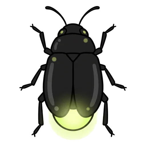 firefly