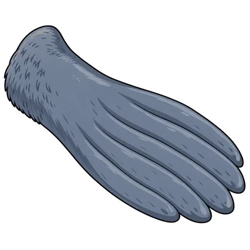 flipper