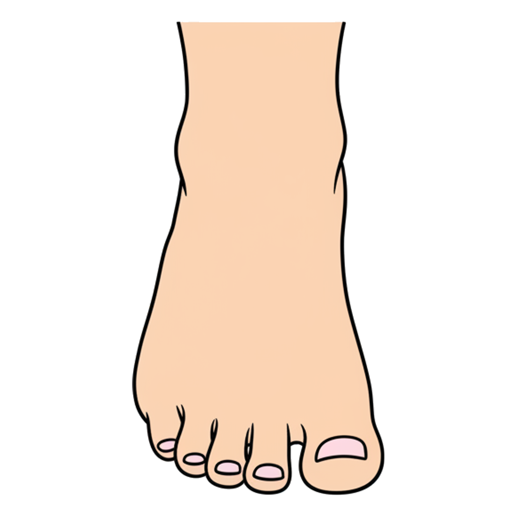 foot