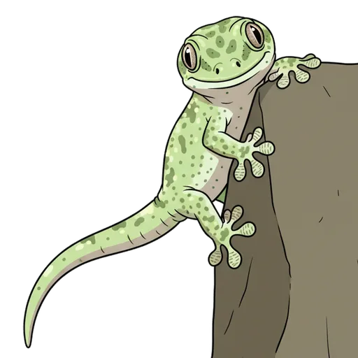 gecko