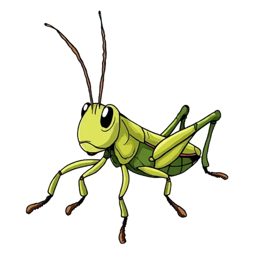 grasshopper