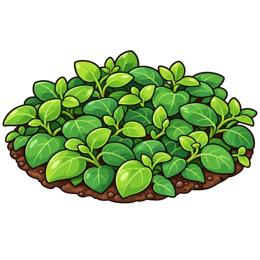 ground cover