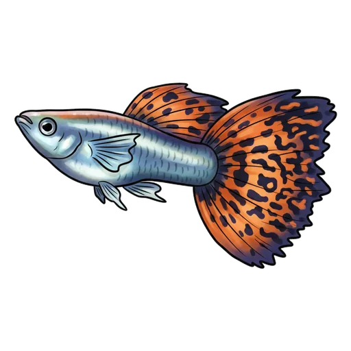 guppy