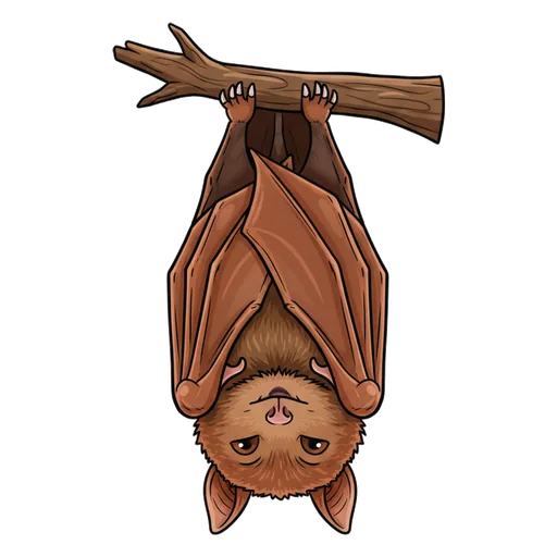 hang