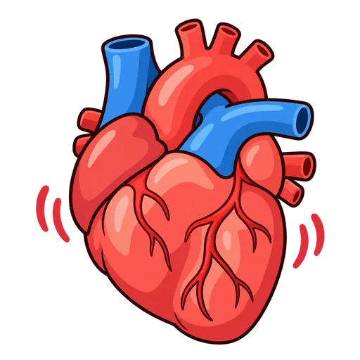 heartbeat