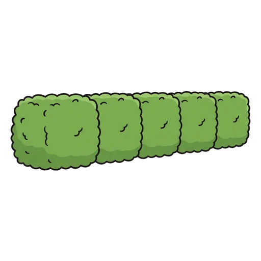 hedge