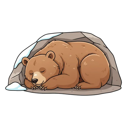 hibernate