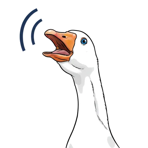honk