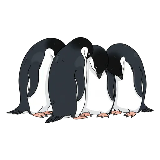 huddle