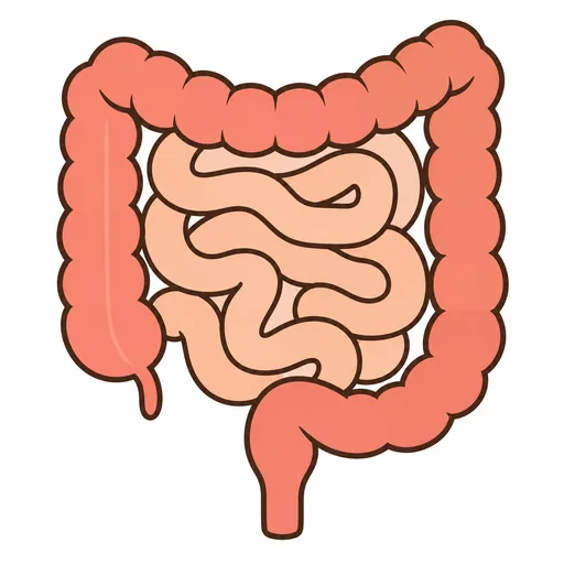 intestine