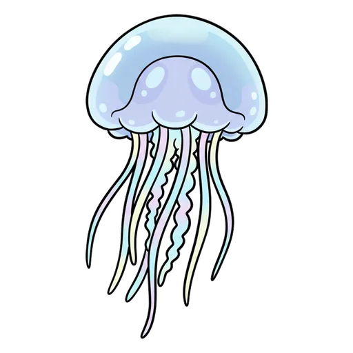 jellyfish