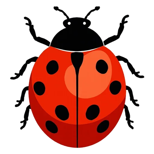 ladybug
