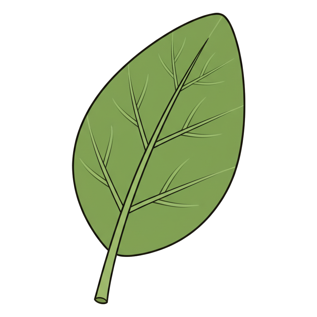 leaf