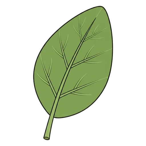 leaf