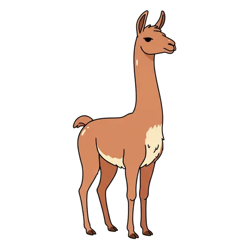 llama