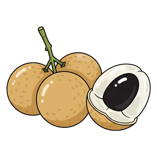 longan