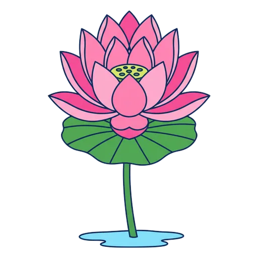 lotus