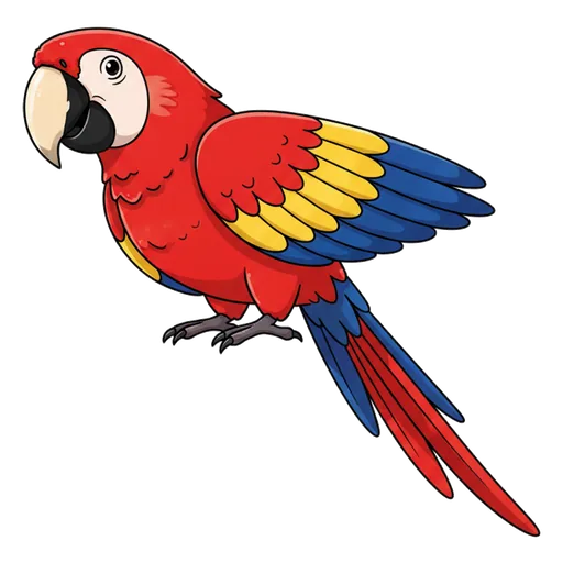 macaw
