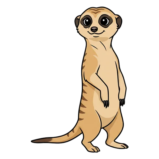 meerkat